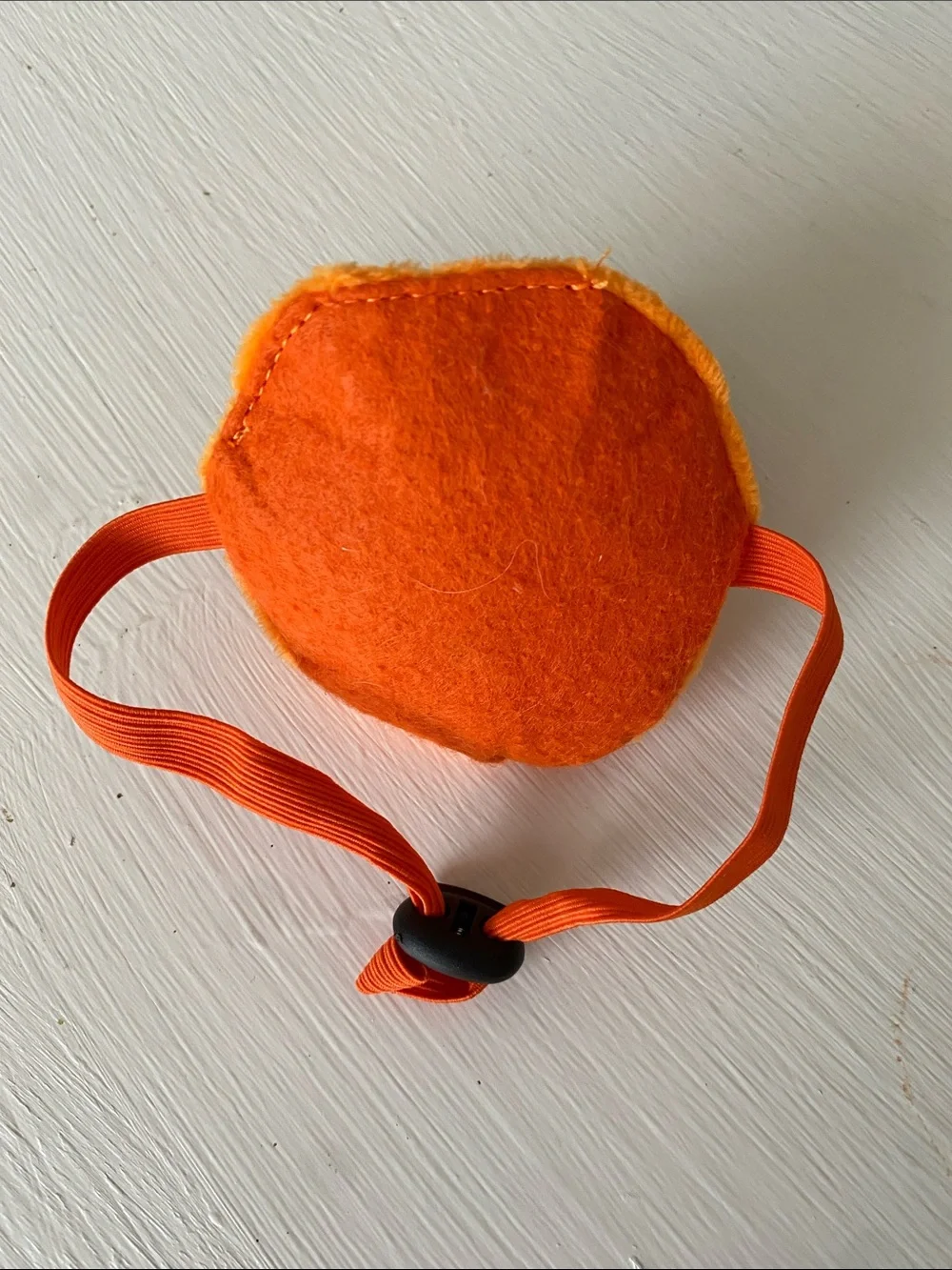 Small Dog Orange Pumpkin Costume with Green Leaf Accent & Hat